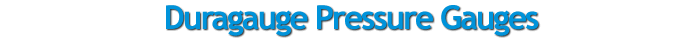 duragauge pressure ashcroft 1379 liquid teflon